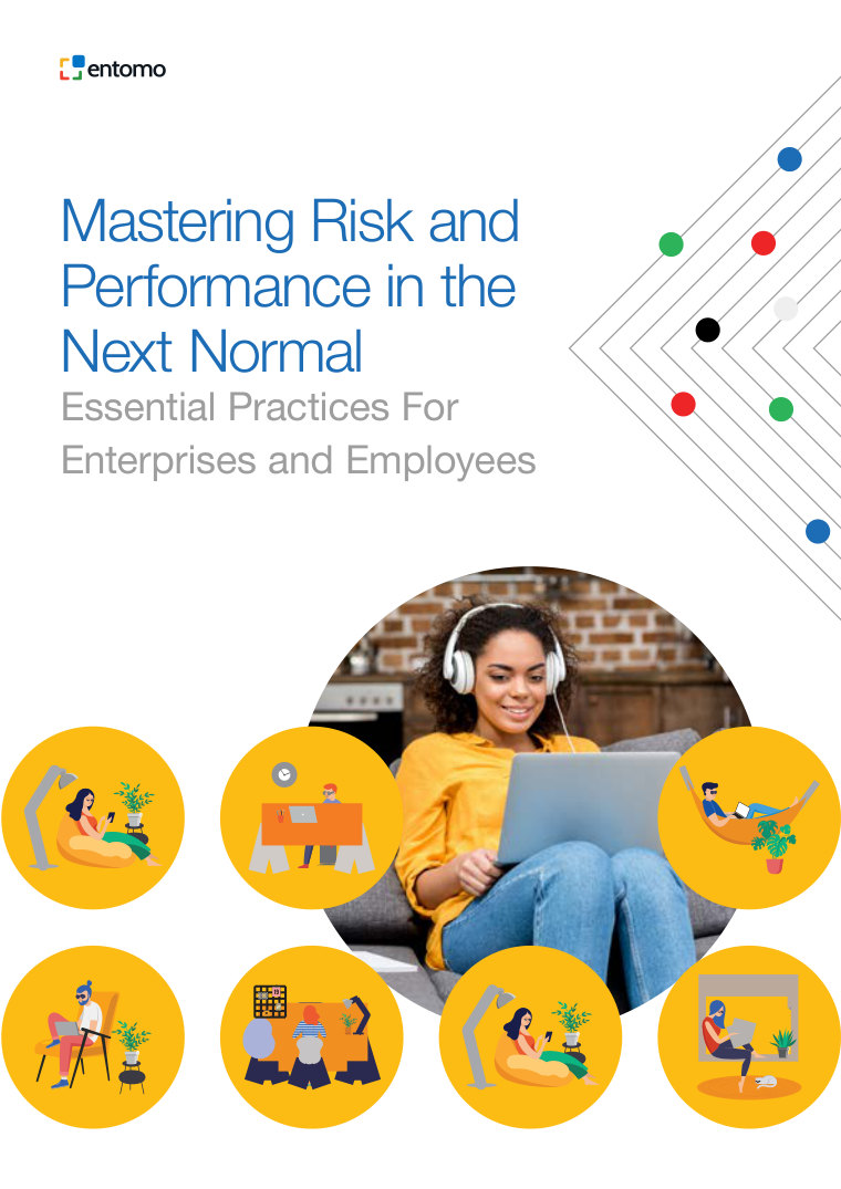 cover of mastering risk and performance in the next normal